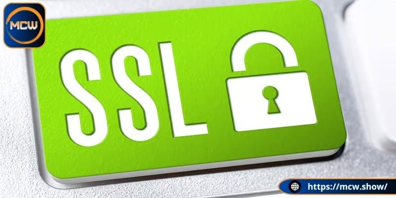 Sử dụng SSL trong hệ thống MCW